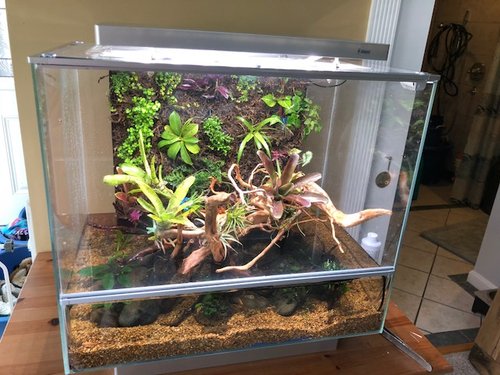 biopod.jpg