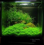 8-inch cube tank