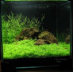 8-inch cube tank