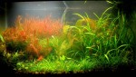 Ten gallon on fire