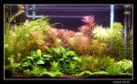 29 Gallon 7-19-06