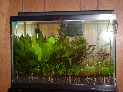20G.jpg
