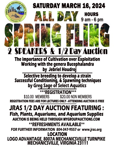 SPRINGFLING MAIN FLYER 3-16-2024.jpg